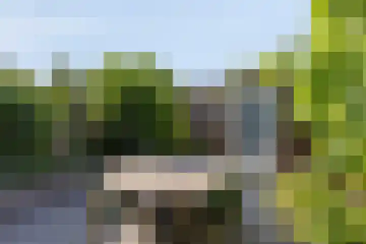 Zwartbont 16 Veldhoven thumbnail 25