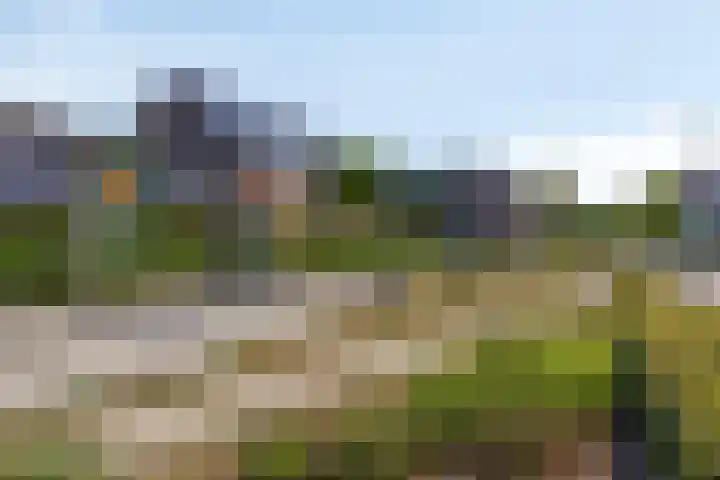 Zwartbont 16 Veldhoven thumbnail 28
