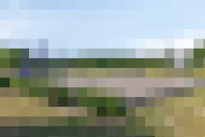 Zwartbont 16 Veldhoven thumbnail 29