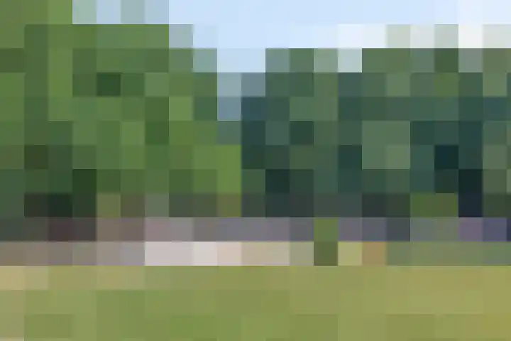 Zwartbont 16 Veldhoven thumbnail 31