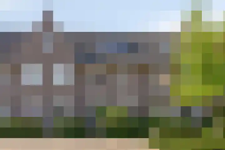 Zwartbont 16 Veldhoven thumbnail 32