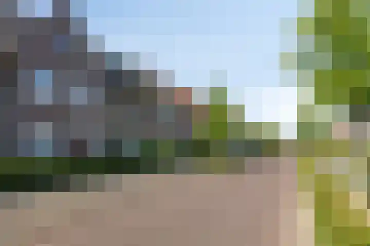 Zwartbont 16 Veldhoven thumbnail 33