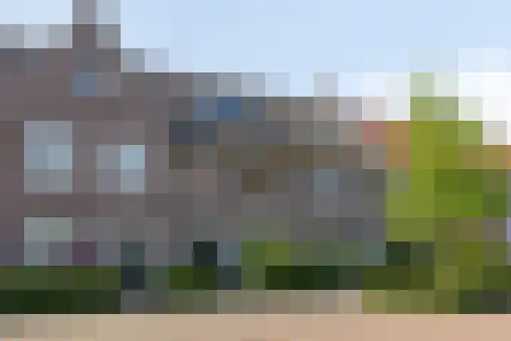 Zwartbont 16 Veldhoven thumbnail 39
