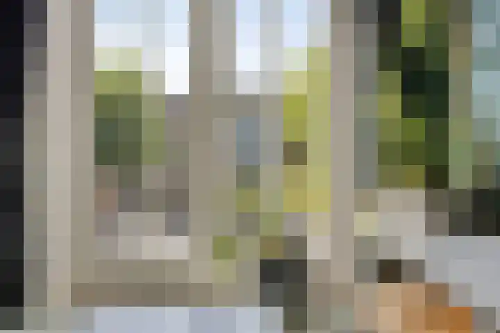 Zwartbont 16 Veldhoven thumbnail 5