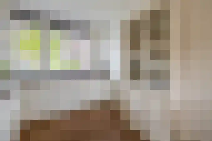 Zwartbont 18 Veldhoven thumbnail 15