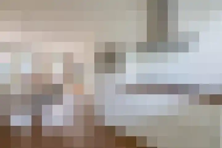Zwartbont 18 Veldhoven thumbnail 16