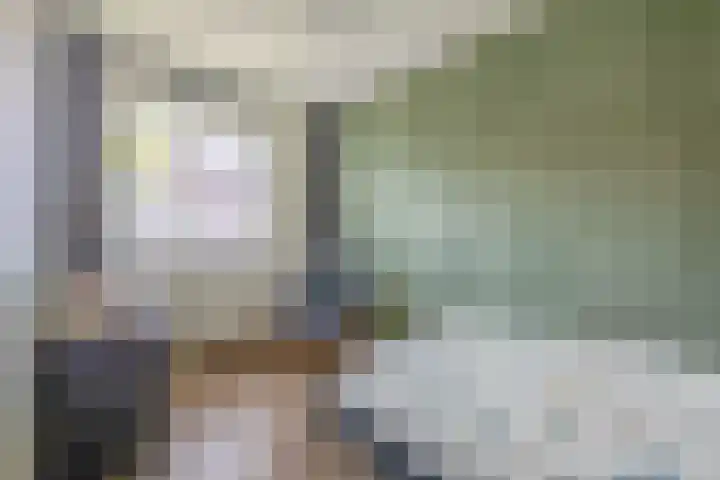 Zwartbont 18 Veldhoven thumbnail 21
