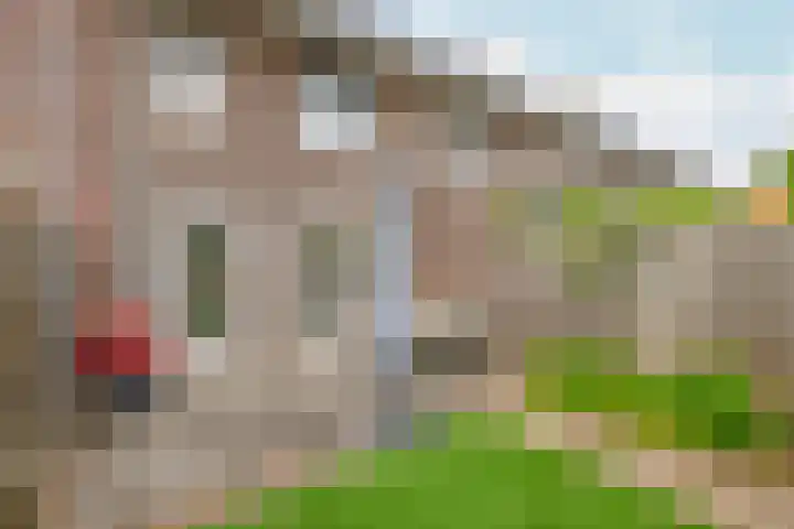 Zwartbont 18 Veldhoven thumbnail 31