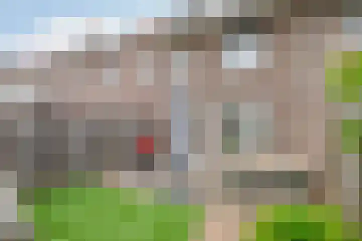 Zwartbont 18 Veldhoven thumbnail 32