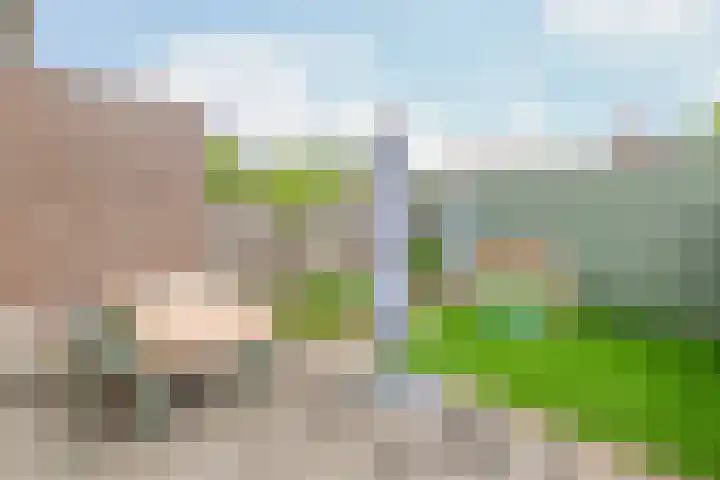 Zwartbont 18 Veldhoven thumbnail 34