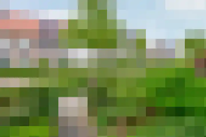 Zwartbont 18 Veldhoven thumbnail 37