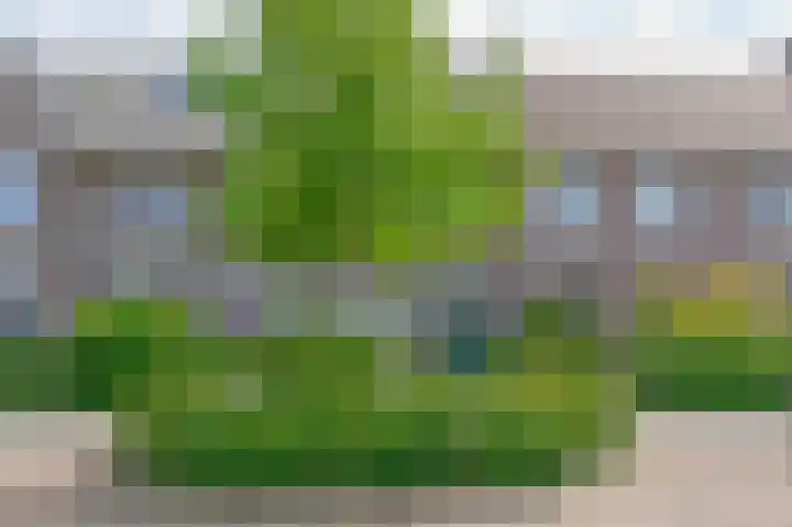 Zwartbont 18 Veldhoven thumbnail 38