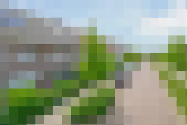 Zwartbont 18 Veldhoven thumbnail 39