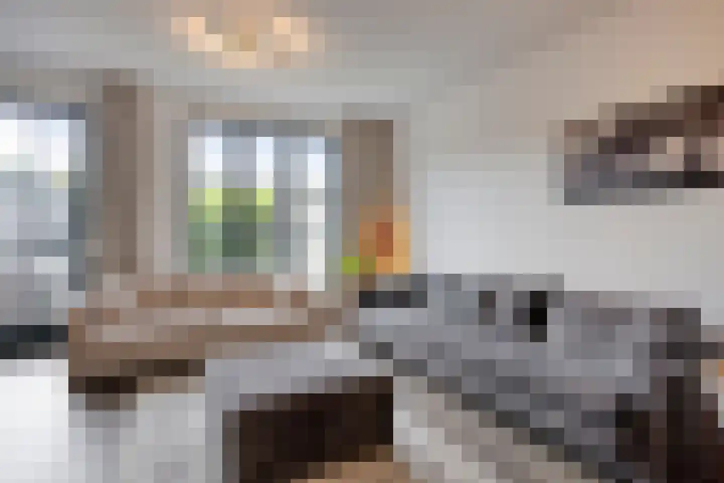 Zwartbont 20 Veldhoven thumbnail 10