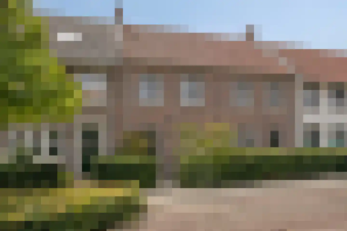 Zwartbont 20 Veldhoven thumbnail 4