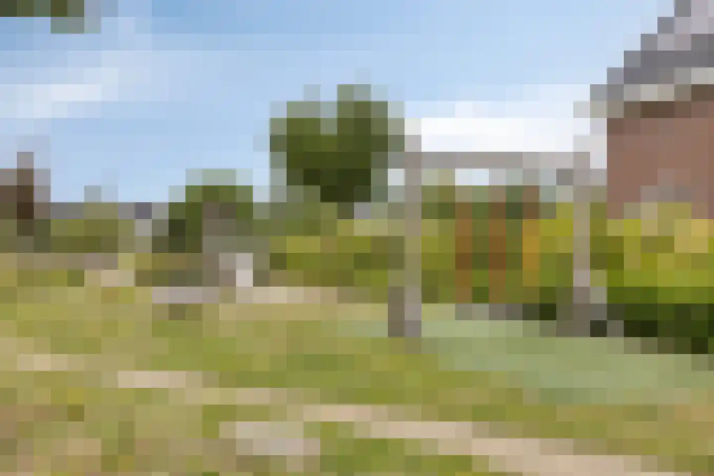 Zwartbont 20 Veldhoven thumbnail 48