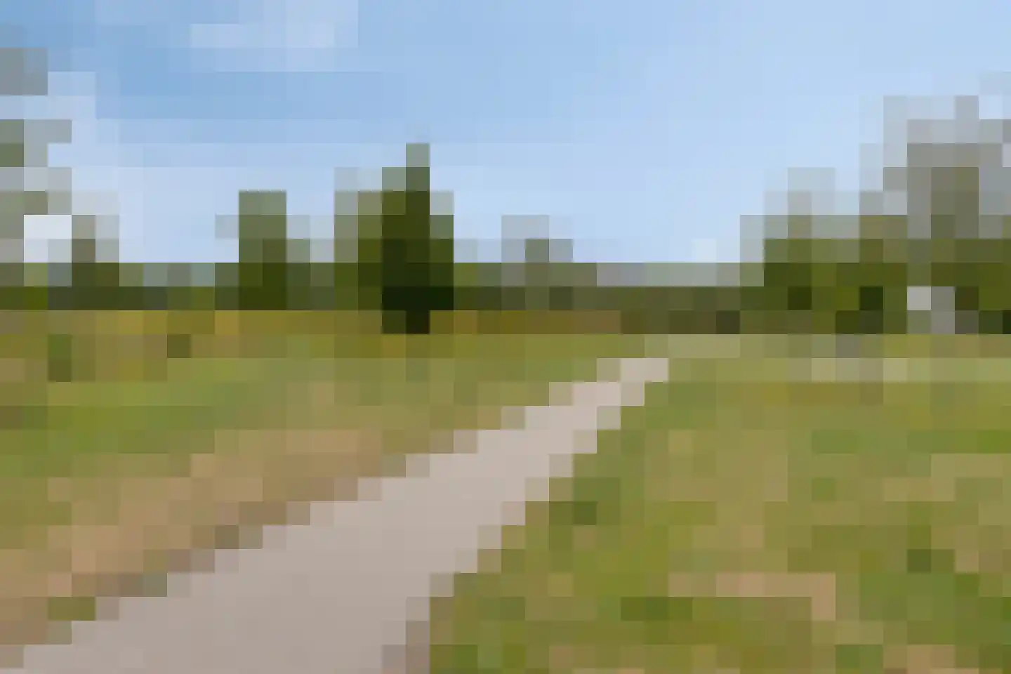 Zwartbont 20 Veldhoven thumbnail 49