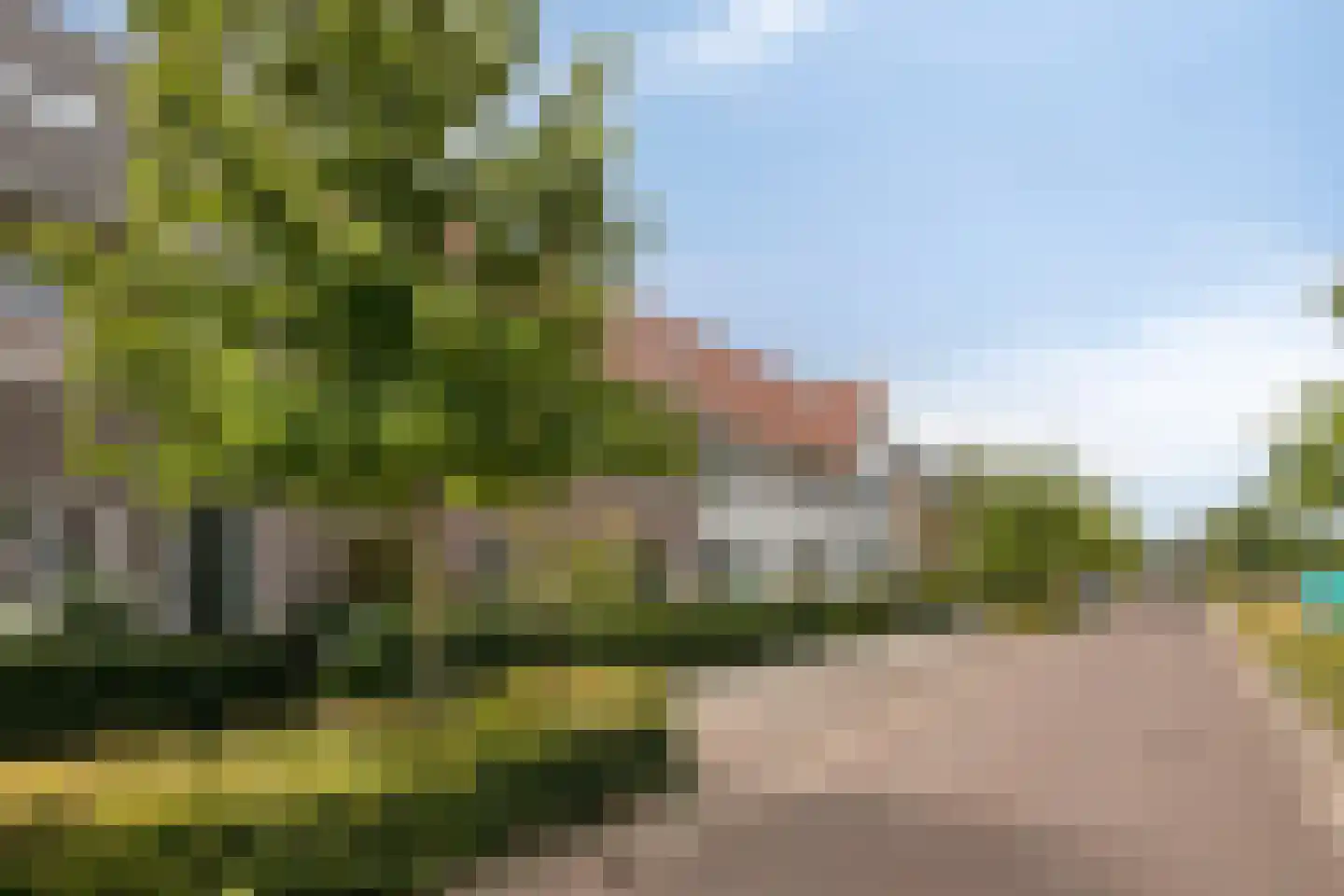 Zwartbont 20 Veldhoven thumbnail 5