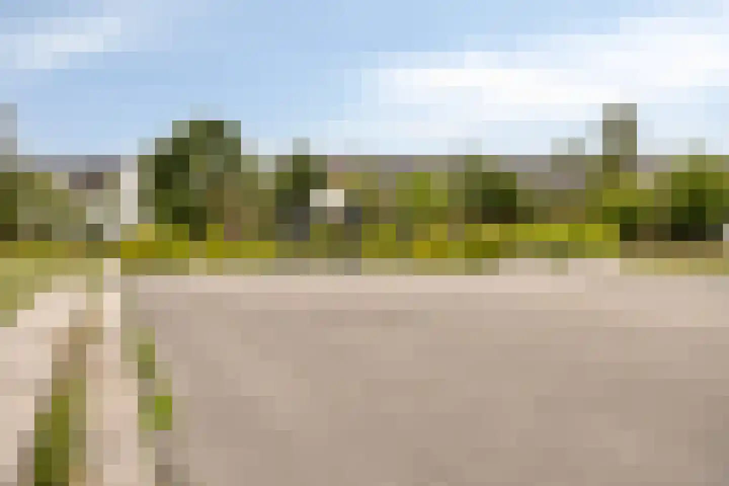 Zwartbont 20 Veldhoven thumbnail 50