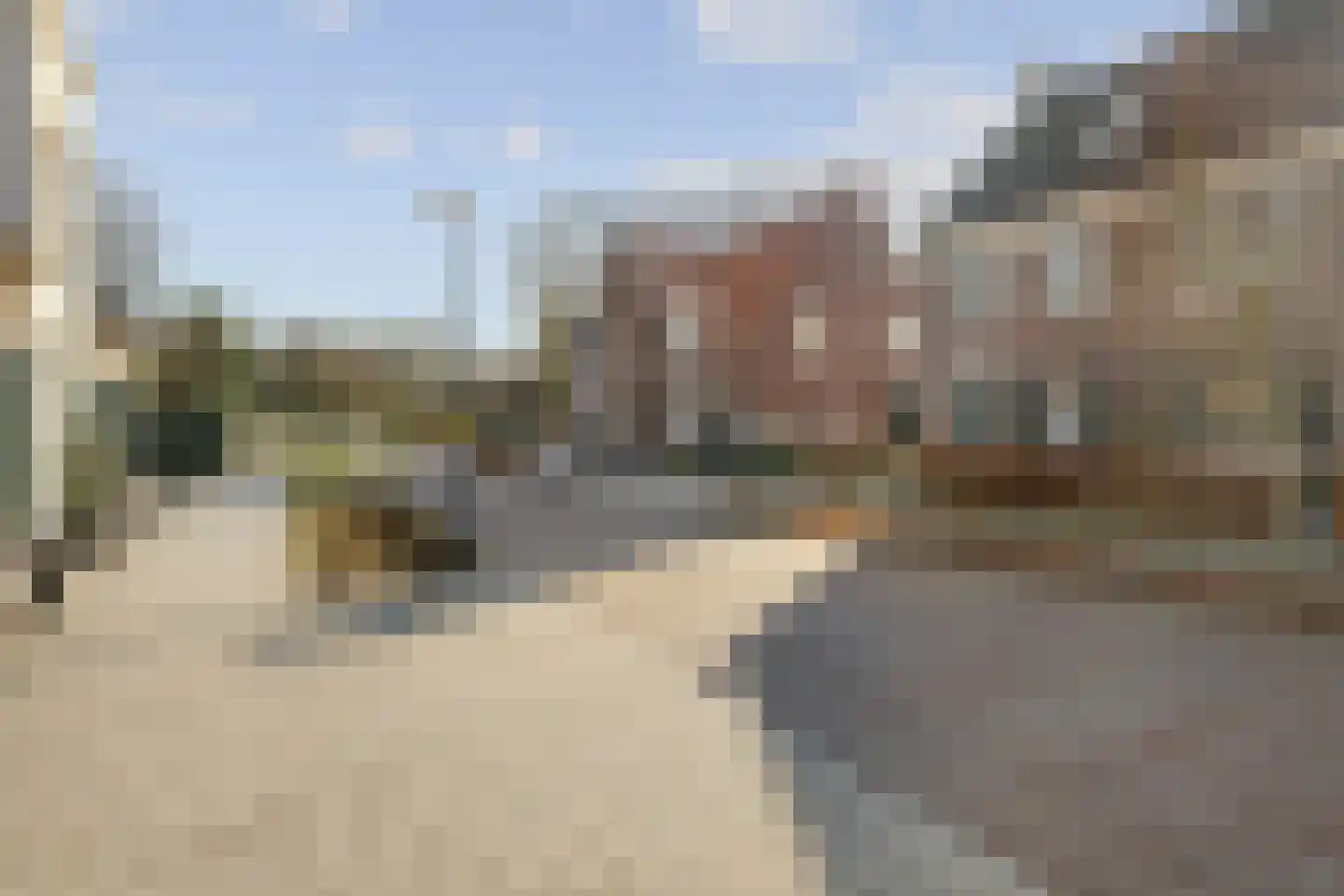Zwartbont 7 Veldhoven thumbnail 45