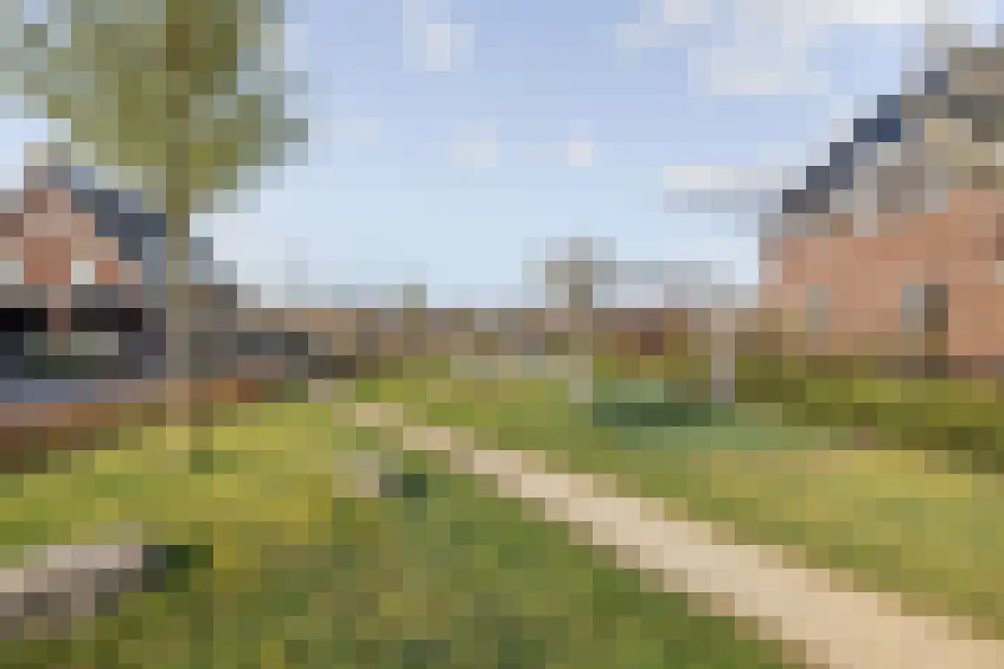 Zwartbont 7 Veldhoven thumbnail 47