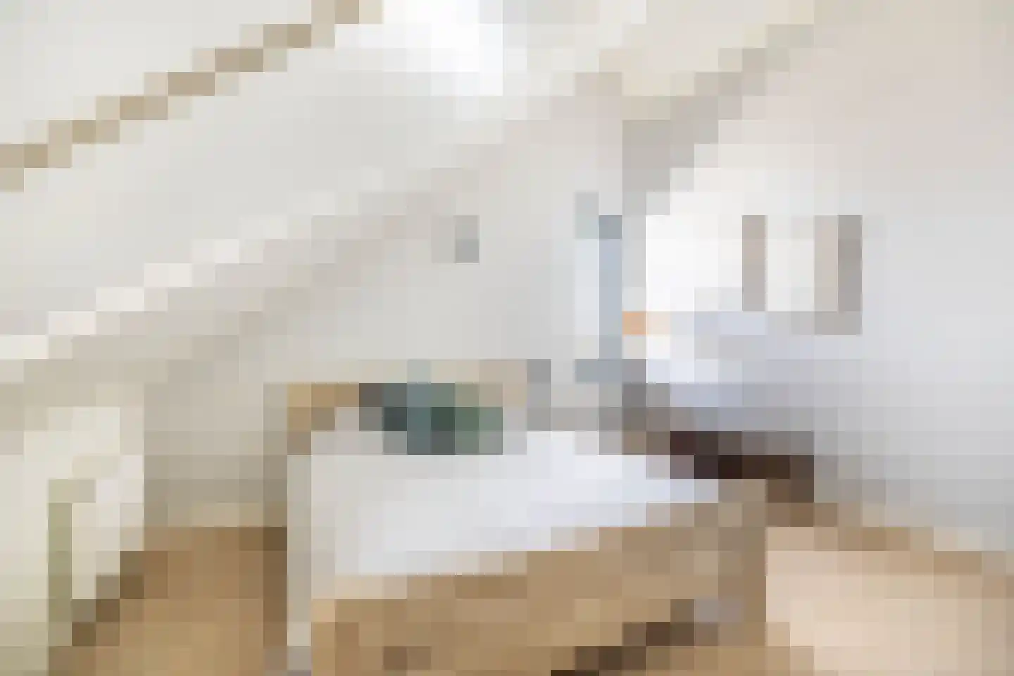 Zwartbontstraat 2 Middenbeemster thumbnail 32