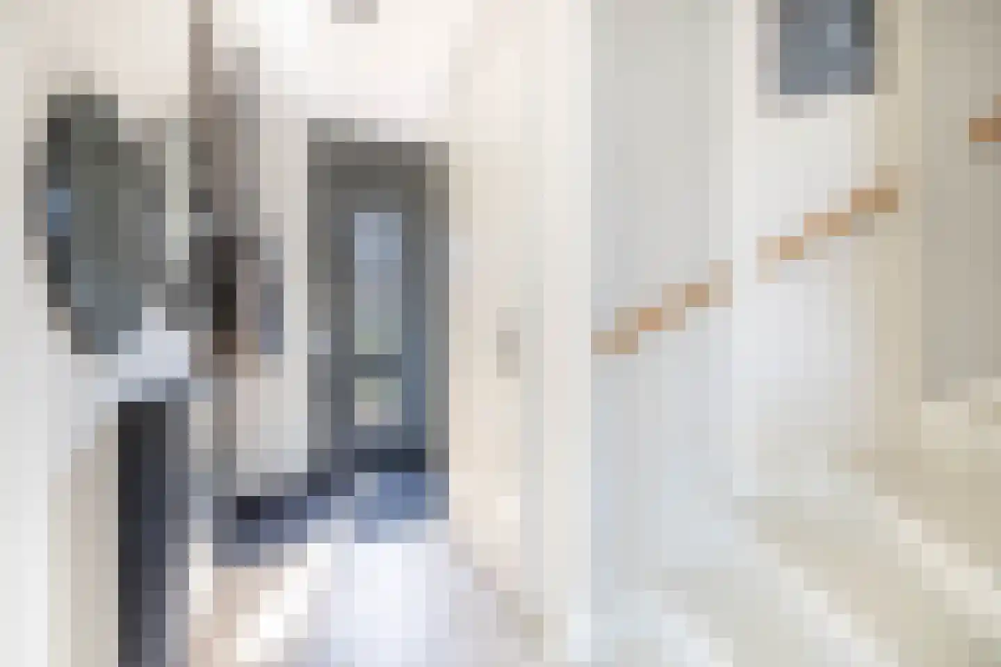 Zwartbontstraat 2 Middenbeemster thumbnail 7