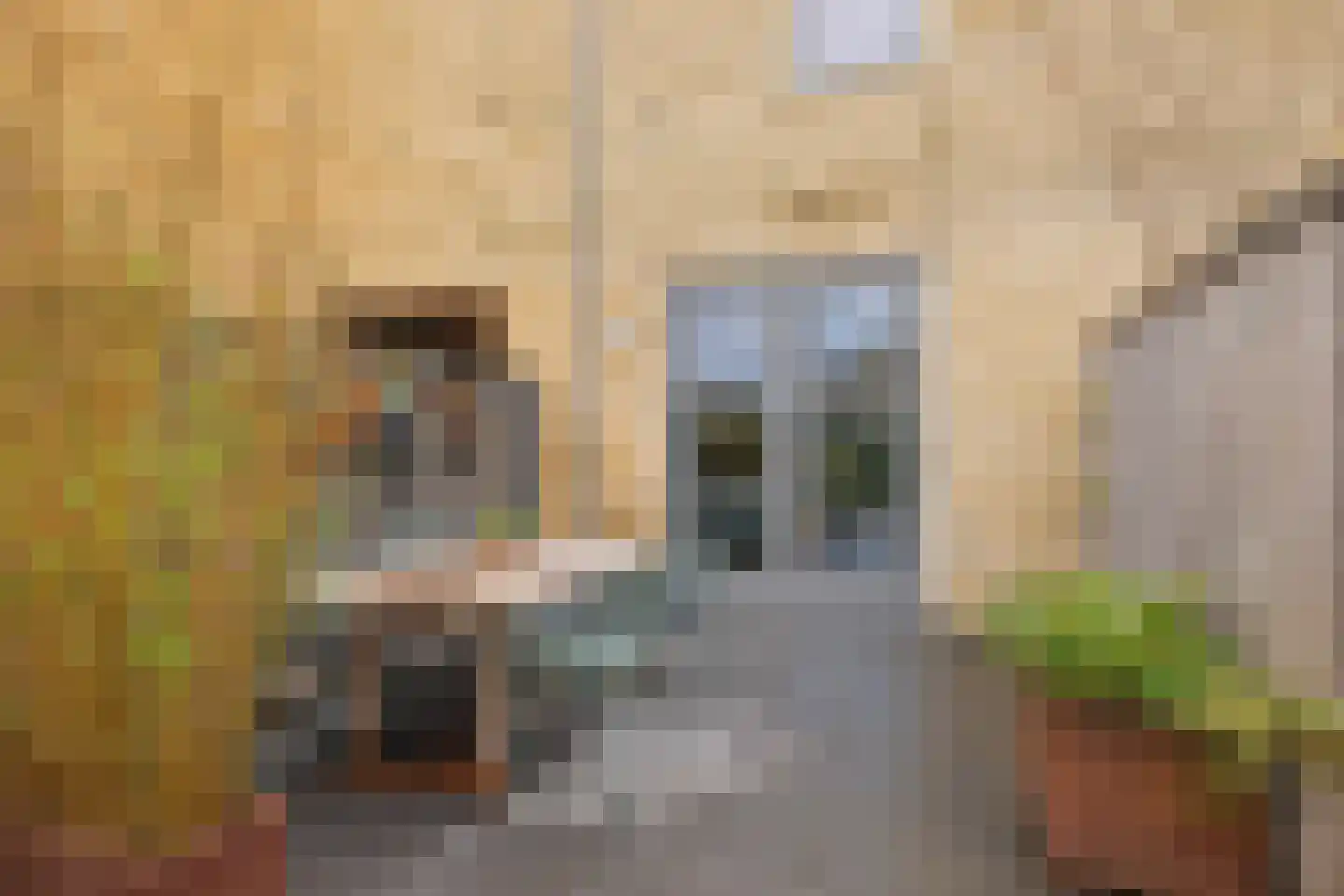 Zwartbontstraat 3 Utrecht thumbnail 16