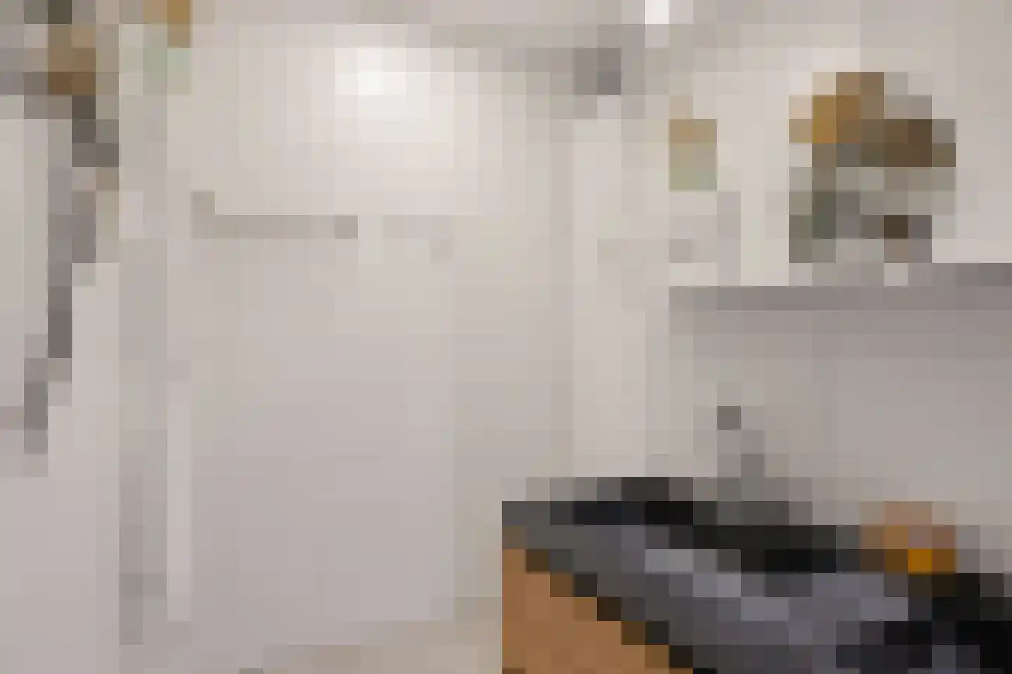 Zwartbontstraat 3 Utrecht thumbnail 32