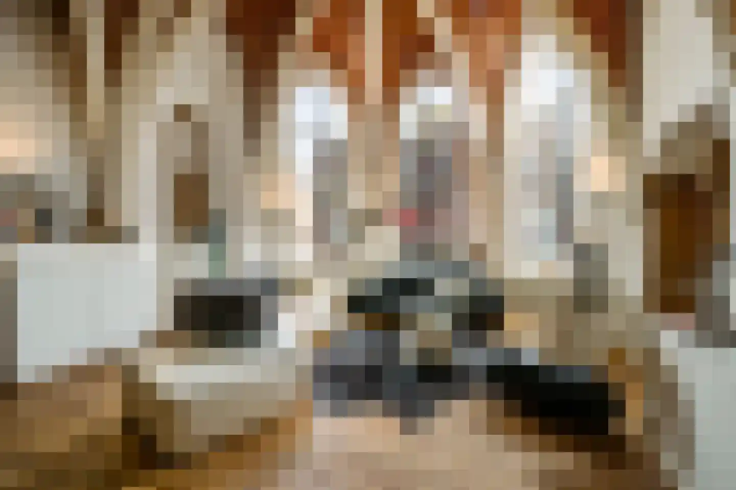 Zwartbroekstraat 1 C Roermond thumbnail 16