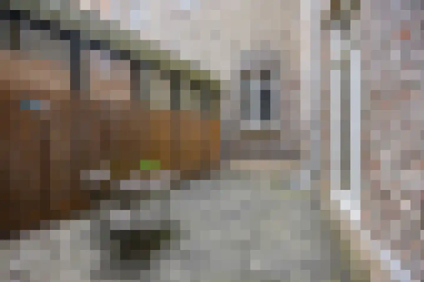 Zwartbroekstraat 1 D Roermond thumbnail 18