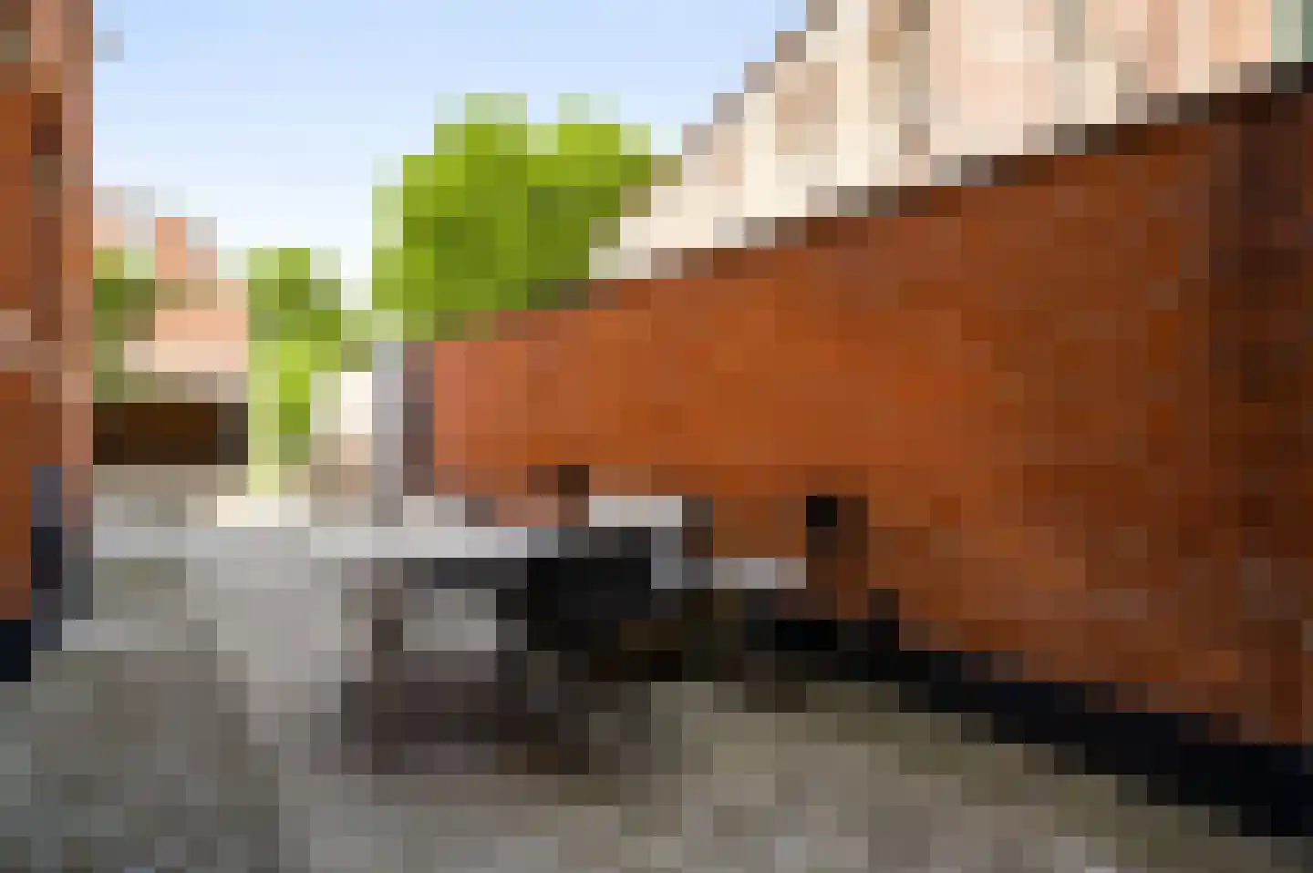 Zwartbroekstraat 2 Roermond thumbnail 22
