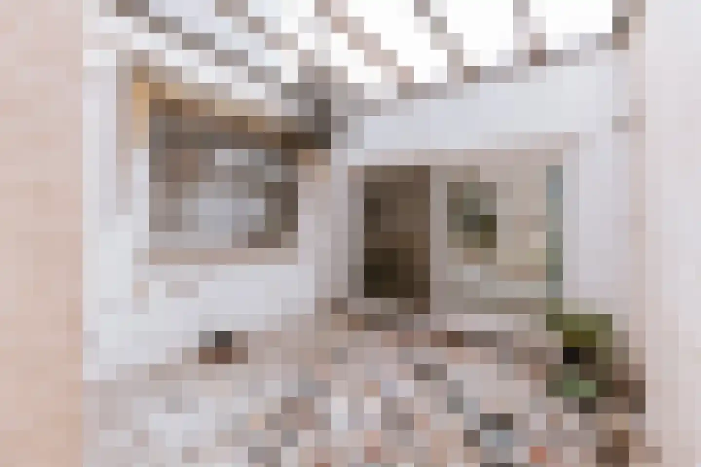 Zwartbroekstraat 7 Roermond thumbnail 20