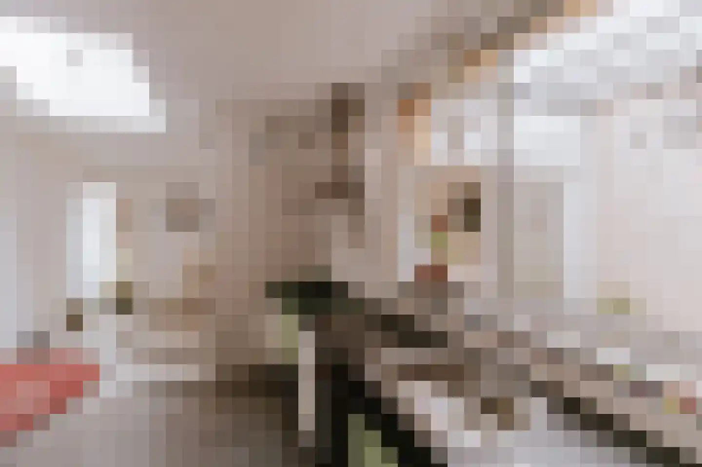 Zwartbroekstraat 7 Roermond thumbnail 24