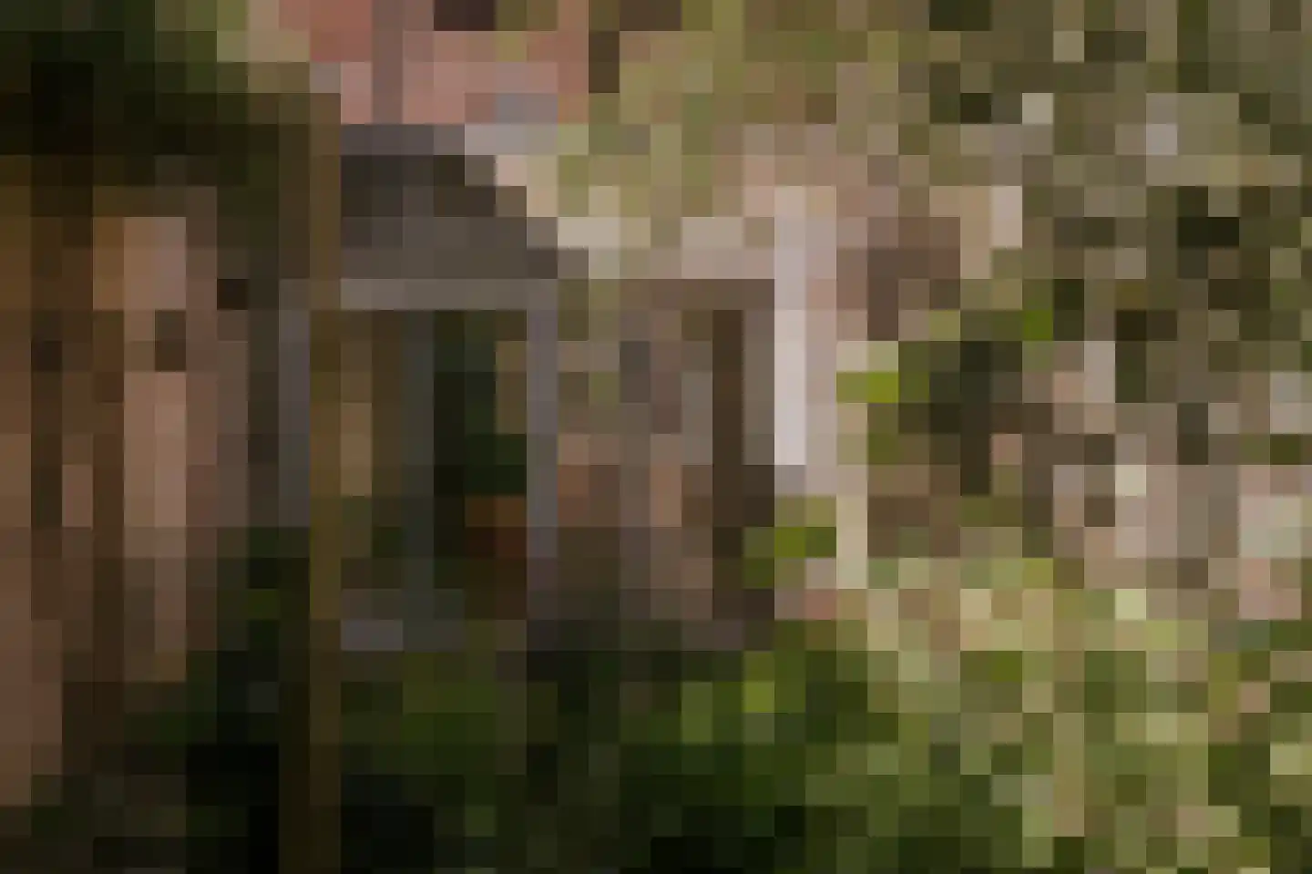 Zwartbroekstraat 7 Roermond thumbnail 28