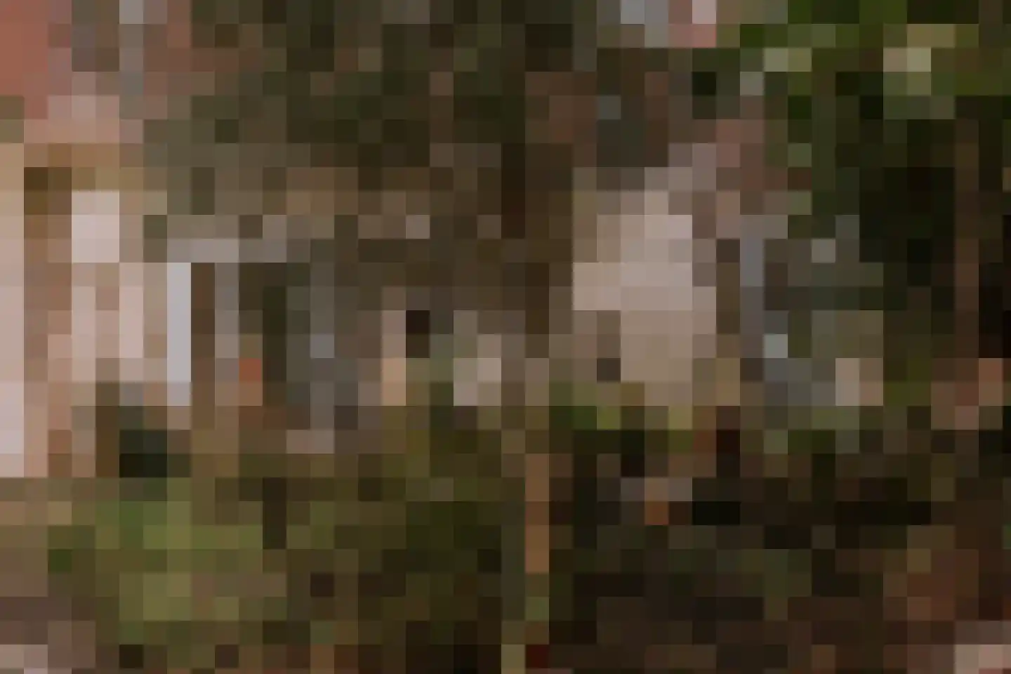 Zwartbroekstraat 7 Roermond thumbnail 30