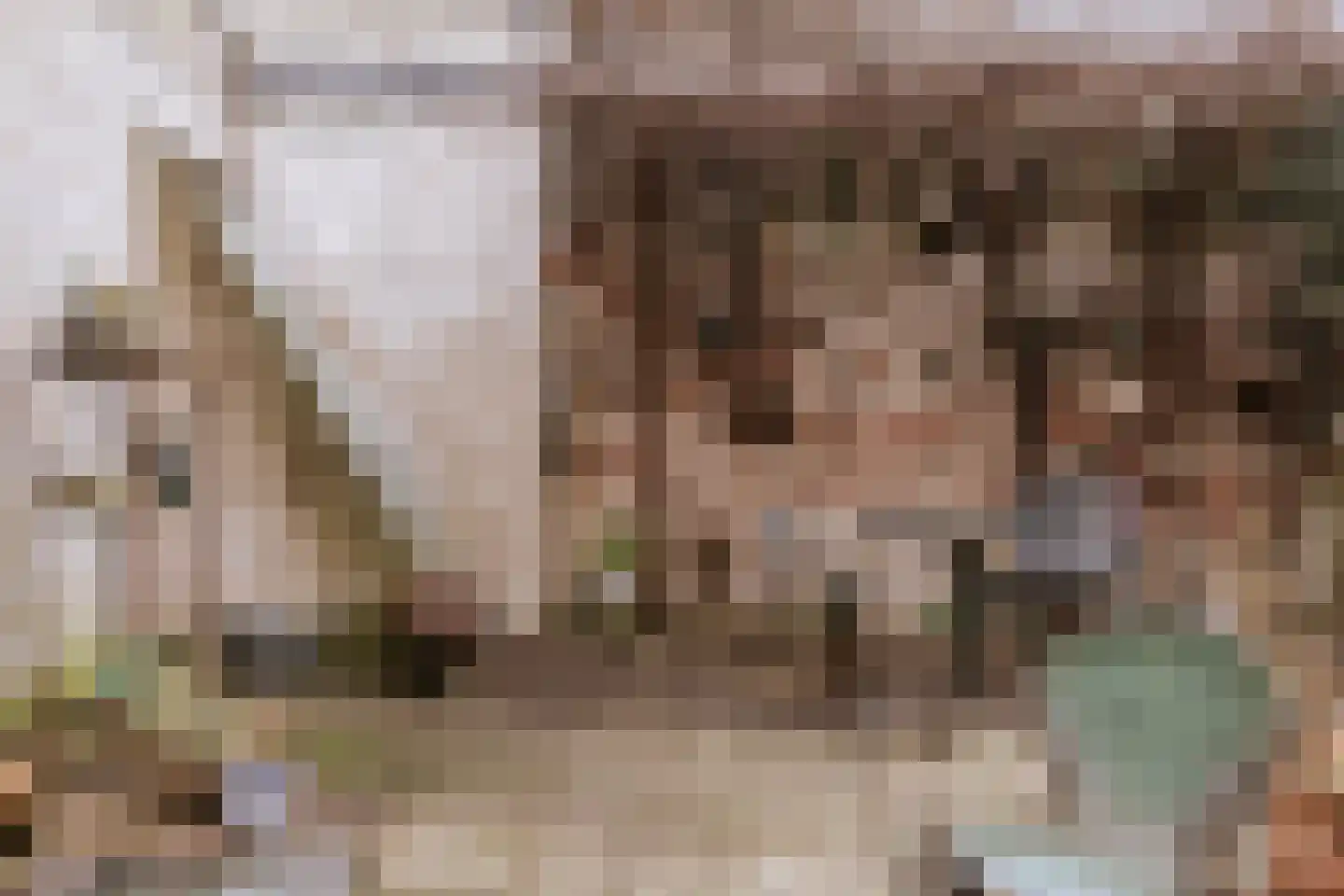 Zwartbroekstraat 7 Roermond thumbnail 31