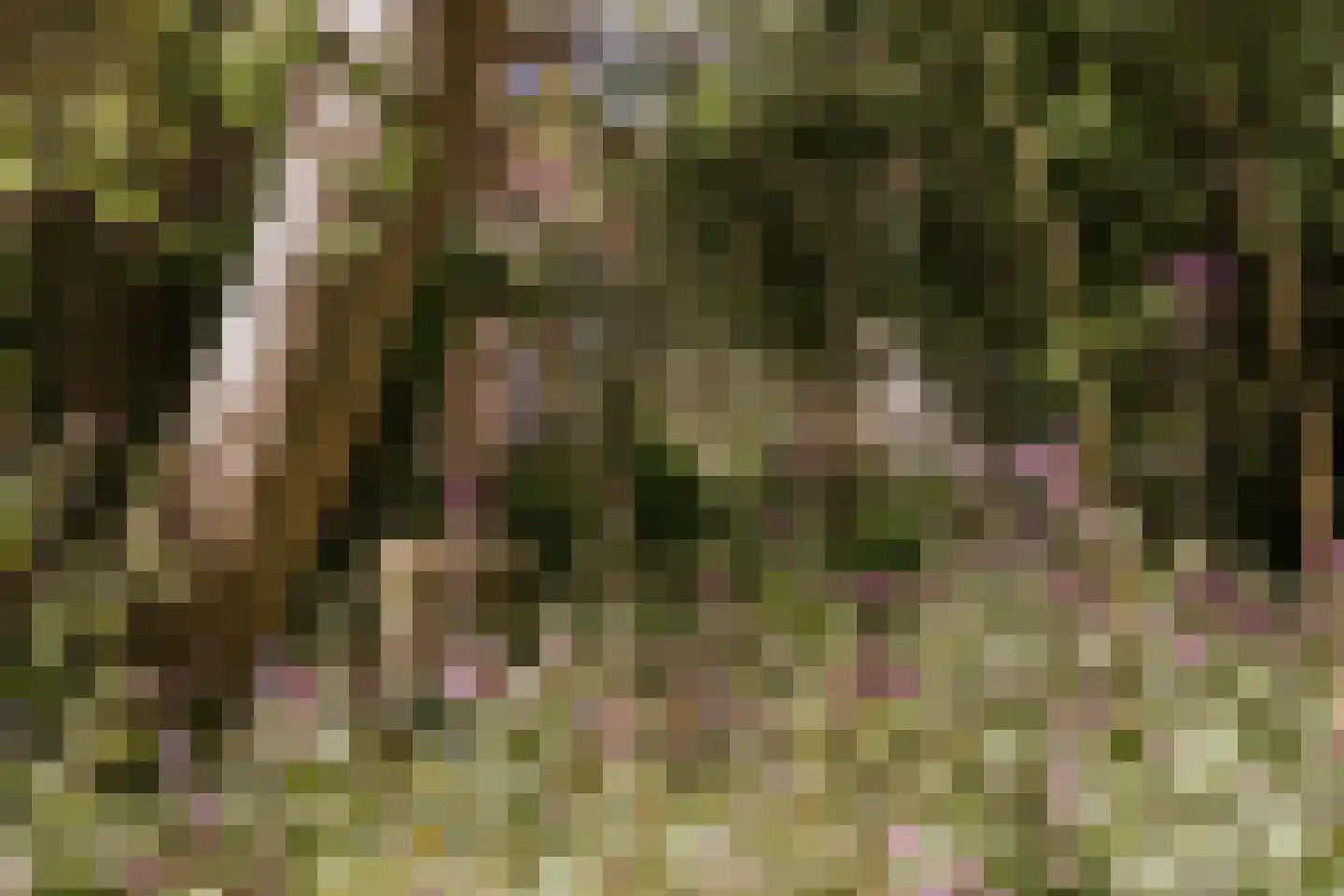 Zwartbroekstraat 7 Roermond thumbnail 32