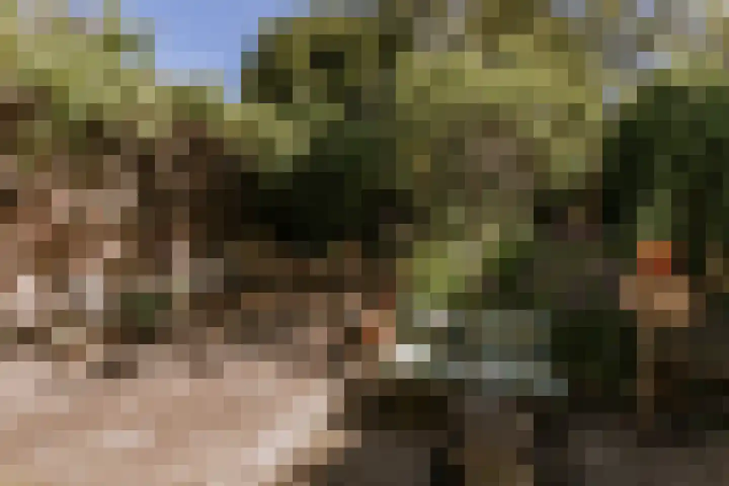 Zwartbroekstraat 7 Roermond thumbnail 5