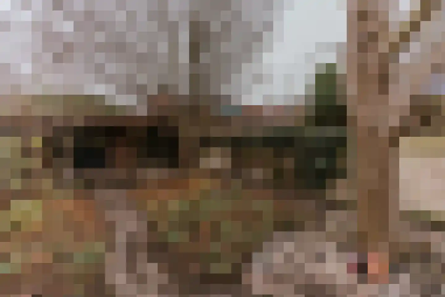 Zwartbroekstraat 7 Roermond thumbnail 5