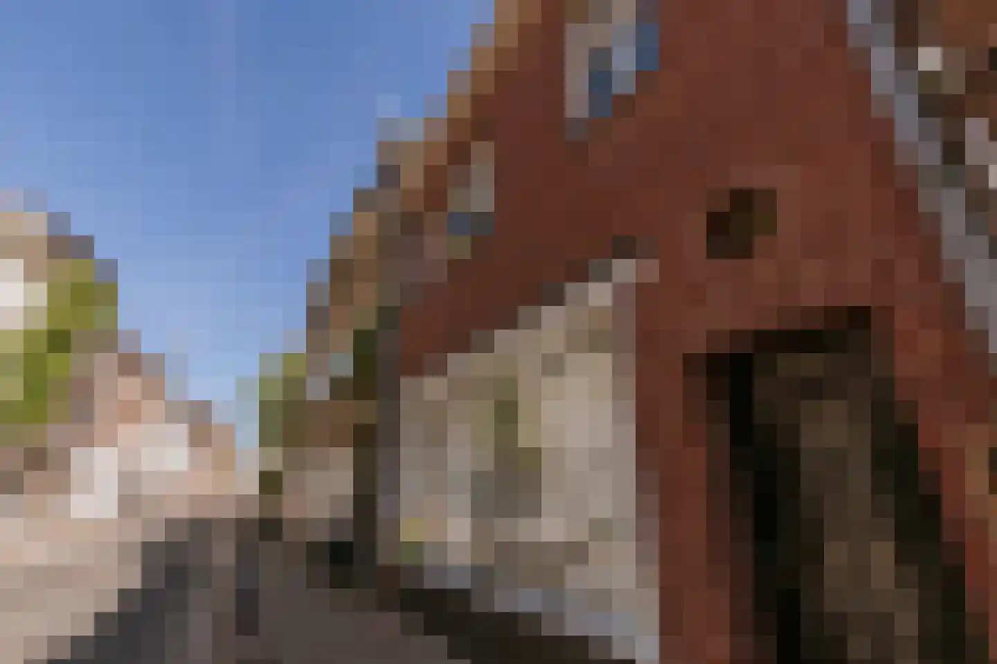 Zwartbroekstraat 7 Roermond thumbnail 50