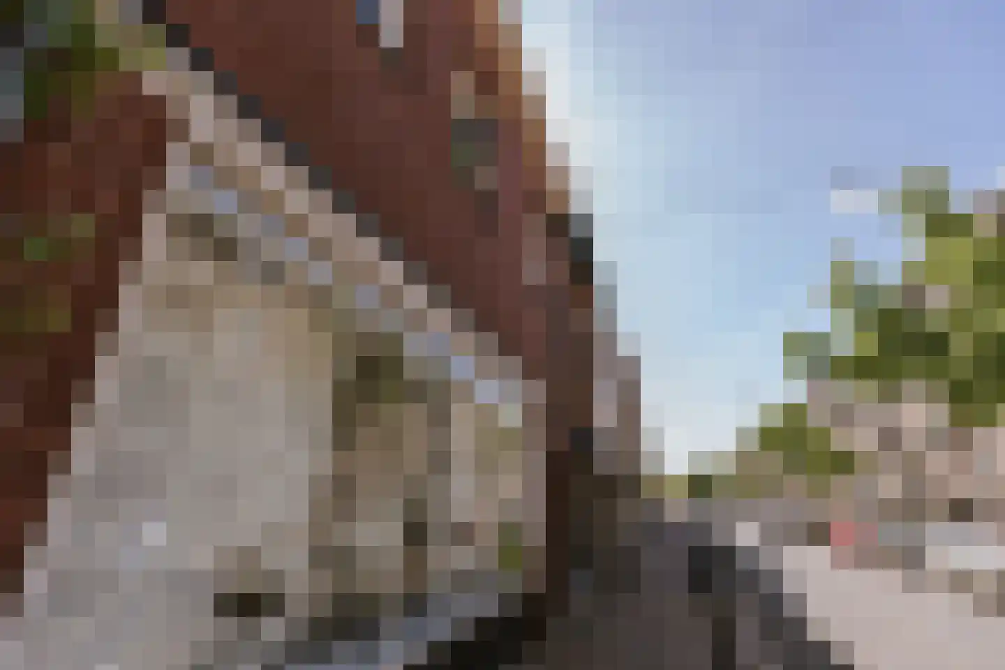 Zwartbroekstraat 7 Roermond thumbnail 51