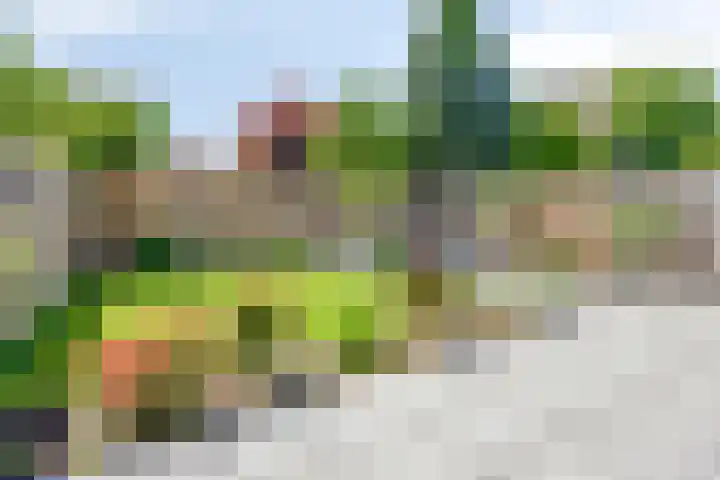 Zwartbroekweg 16 's-Hertogenbosch thumbnail 10