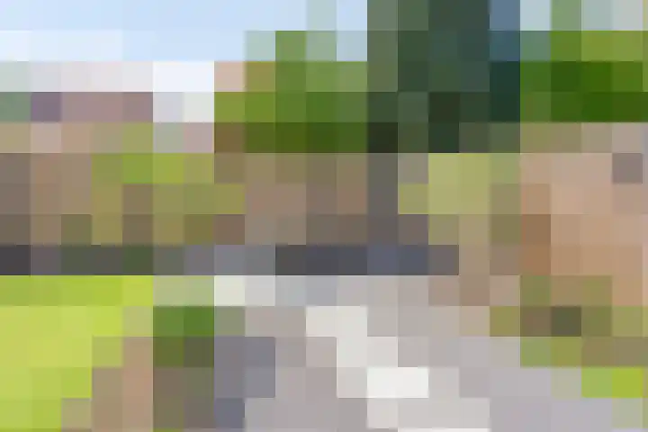 Zwartbroekweg 16 's-Hertogenbosch thumbnail 11