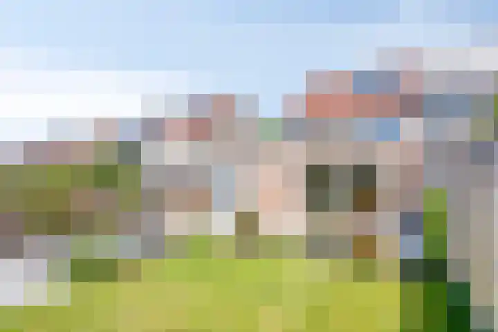 Zwartbroekweg 16 's-Hertogenbosch thumbnail 12