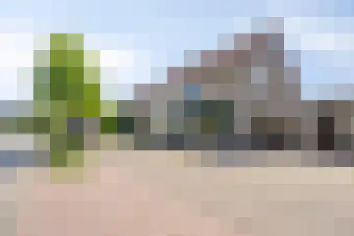 Zwartbroekweg 16 's-Hertogenbosch thumbnail 25