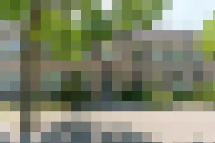 Zwartbroekweg 378 's-Hertogenbosch thumbnail 31