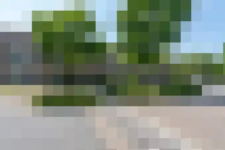 Zwartbroekweg 378 's-Hertogenbosch thumbnail 32