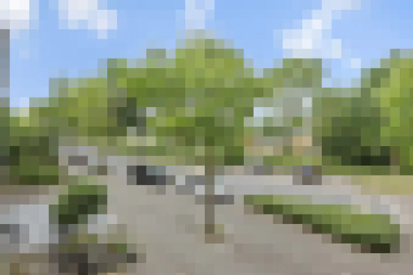 Zwartbroekweg 382 's-Hertogenbosch thumbnail 17