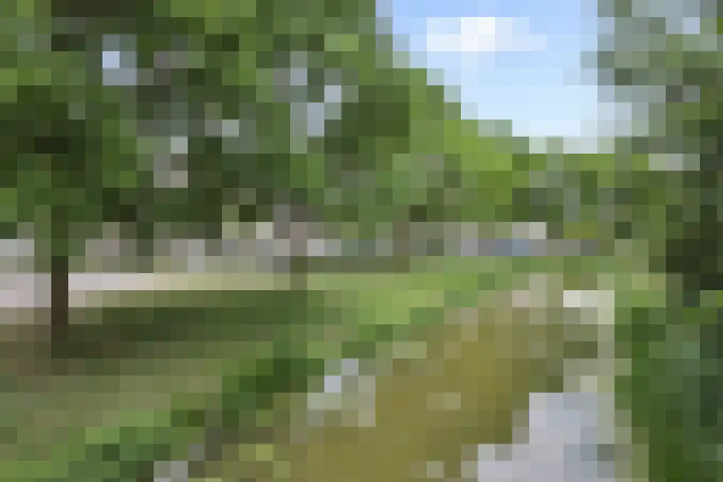 Zwartbroekweg 382 's-Hertogenbosch thumbnail 27